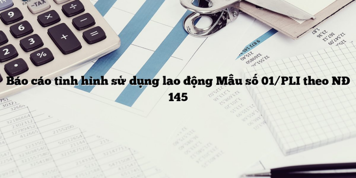 Báo cáo tình hình sử dụng lao động Mẫu số 01/PLI theo NĐ 145